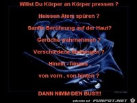 dann nimm den bus