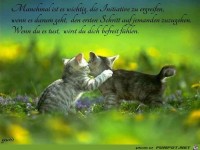 Manchmal ist es wichtig