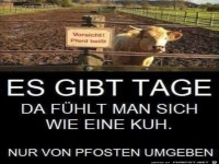 Nur Pfosten