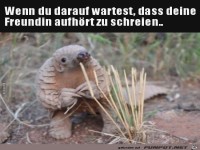 Erst mal abwarten