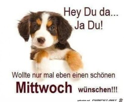 Schnen-Mittwoch.jpg auf www.funpot.net