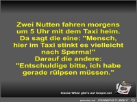 Zwei Nutten fahren morgens um 5 Uhr mit dem Taxi heim