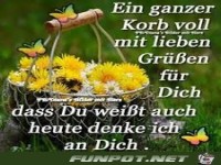 Ein ganzer Korb voll