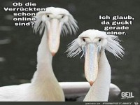Ob die Verr�ckten schon online sind ?