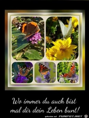 Mal-dir-dein-Leben-bunt.jpg auf www.funpot.net