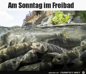 Freibad-am-Sonntag.jpg auf www.funpot.net