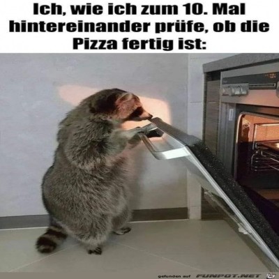 Ist-die-Pizza-endlich-fertig?.jpg von Supersusi