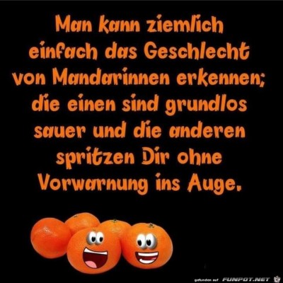 Das-Geschlecht.jpg von Keule56