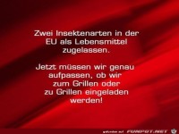 Zum Grillen oder zu Grillen