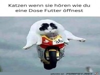 Futterdose ge�ffnet