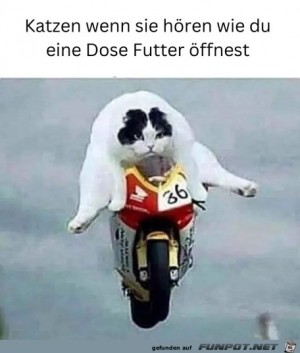 Futterdose-geöffnet.jpg auf www.funpot.net