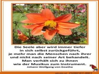 Die Seele aber wird immer tiefer