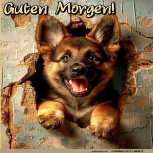 Begrüßungsbild
