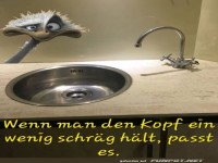 Nur den Kopf schrg halten