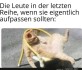 FunpotNews