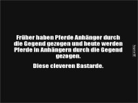 Pferde rufen: Rollentausch vollendet!