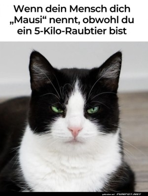 Majesttische-Missverstndnisse.jpg auf www.funpot.net