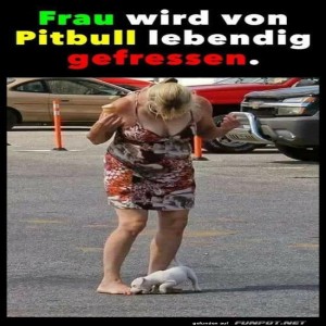 Kleiner-Hund,-großer-Hunger!.jpg von Tarik1967