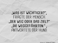 Wenn Hunde Philosophen w�ren