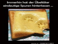 K�sekr�mel und Katzenpfoten: Wer war's?