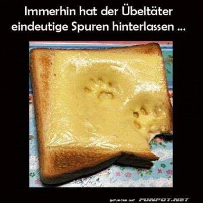 K&auml;sekr&uuml;mel-und-Katzenpfoten:-Wer-war's?.jpg von Lucie37