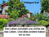 weiter