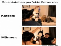 Fototipps: Katzen vs. M�nner