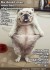 FunpotNews