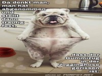 Wie bl�d