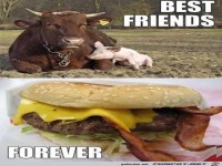 Gute Freunde - f�r immer