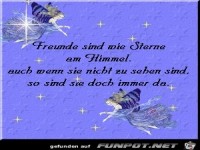 freunde sind wie sterne am himmel 