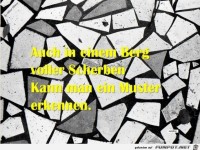 Auch in einem Berg voll Scherben