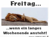 Freitag