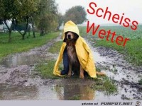Scheiss-Wetter