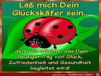 Lass mich dein Glueckskaefer sein