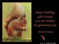 Neuer Fruehling