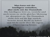 Die Dummheit zieht sich auf ihr Ego zurck