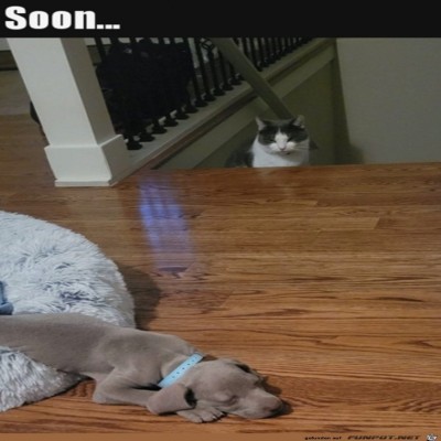 Angriff-folgt.jpg von Noah75