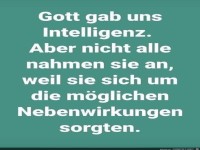 Intelligenz