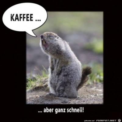Kaffee-schnell.jpg von Pius