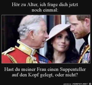 Suppenteller-auf-dem-Kopf.jpg auf www.funpot.net