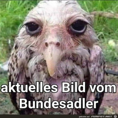 Aktuelles-Foto.jpg von Keule56