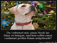 Das ist voll ungerecht