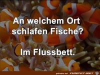 gute Frage!