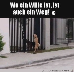 Wo-ein-Wille-ist.jpg auf www.funpot.net