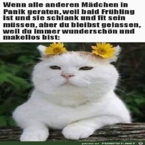 fun-Bild: Wunderschön und makellos