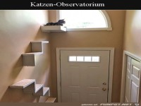 Katzen-�berwachung