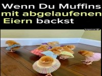 Lustige K�ken in Muffinf�rmchen