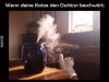 weiter