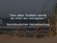 Humorvoller norddeutscher Heiratsantrag